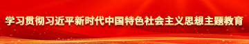 男操鸡巴爽片学习贯彻习近平新时代中国特色社会主义思想主题教育